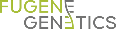 Client 10